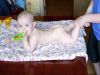 Уменьшенная картинка