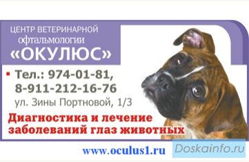 Окулюс - офтальмология для животных