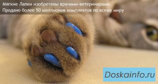 Антицарапки для котов. Акция!