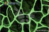 Уменьшенная картинка