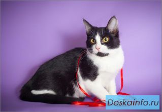 Маришка в самые добрые ручки!
