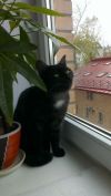 Уменьшенная картинка