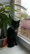 Уменьшенная картинка