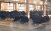 Уменьшенная картинка