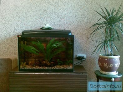 Продаем черный аквариум с крышкой и подсветкой, емкостью 86 литров 