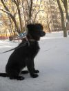 Уменьшенная картинка