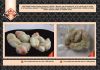 Уменьшенная картинка