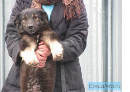 Маленькая Лана
