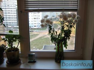 Пластиковые окна. Изготовление и установка.