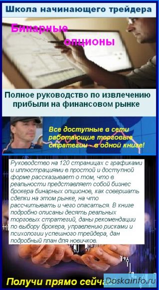 Книга 'Торговля бинарными опционами - вводный курс'