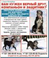 Уменьшенная картинка