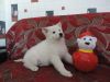 Уменьшенная картинка