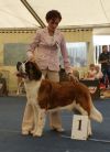 Уменьшенная картинка