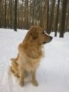 Уменьшенная картинка