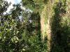Уменьшенная картинка