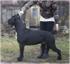 Уменьшенная картинка