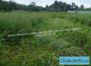 Покос травы, бурьяна, сухостоя. Расчистка (уборка) участка.