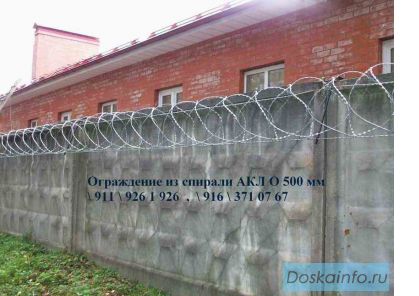 Колючая проволока Егоза