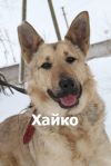 Уменьшенная картинка