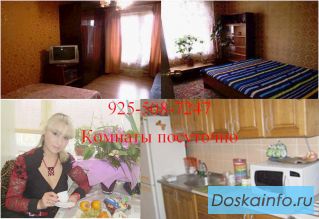 Комната на сутки в Домодедово