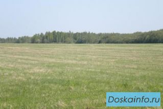 Участок сельхозназначения Переславский район недорого