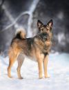 Уменьшенная картинка