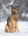 Уменьшенная картинка