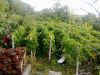 Уменьшенная картинка