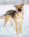 Уменьшенная картинка