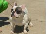 Уменьшенная картинка
