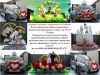 Уменьшенная картинка