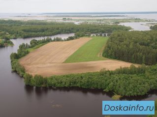 Продаю полуостров на Рыбинском водохранилище