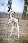 Уменьшенная картинка