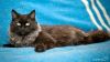 Уменьшенная картинка