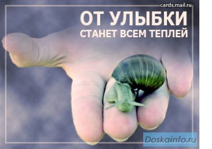 Сдаю уютную 2к.кв.