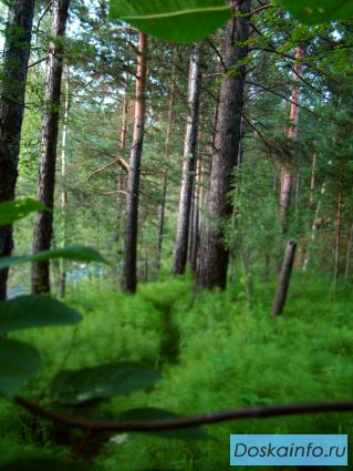 Участок, Рассоха, 9 соток  