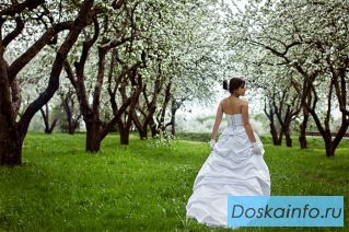 Видеосъемка и фотосъемка торжественных мероприятий