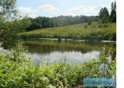 Продаю 10 соток у речьки в поселке Сосновый берег.
