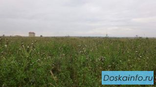 Продам 1.5 Га в поселке Глухово       Ломоносовского рай