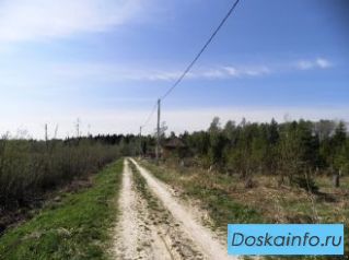 Тосненский р-н, массив Рынделево. 10 сот. в СНТ Ручеек 