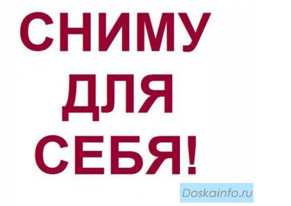 Сниму 1-но комнатную квартиру