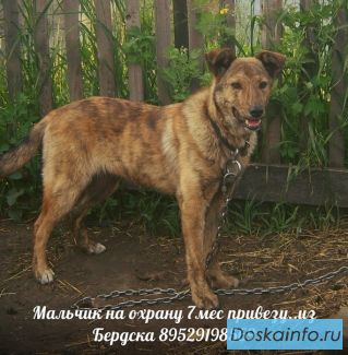 Мальчик