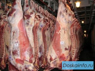 ООО'Престиж'       -      предлагает     оптовые продажи говядины