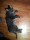 Уменьшенная картинка