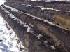 Уменьшенная картинка