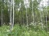 Уменьшенная картинка