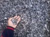 Уменьшенная картинка