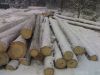 Уменьшенная картинка