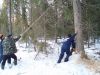 Уменьшенная картинка