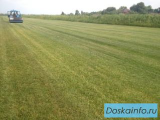 Газоны.                   Продажа, доставка